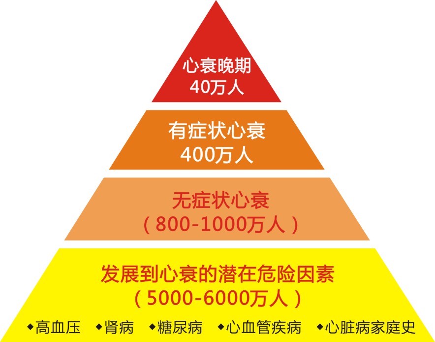 NT-proBNP怎么就成死亡預測因子?