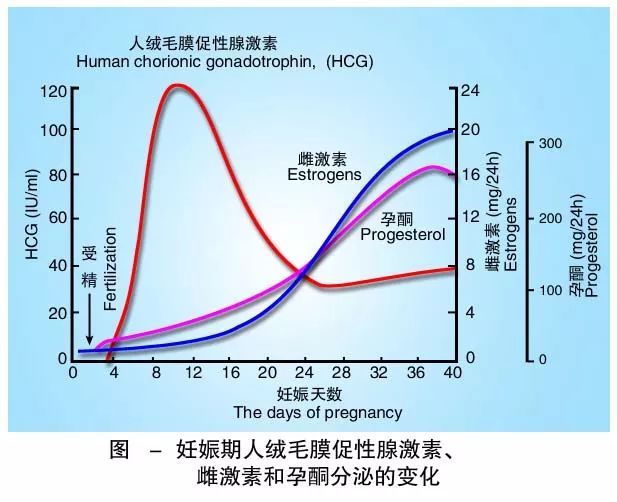 懷孕期間HCG低怎么辦？